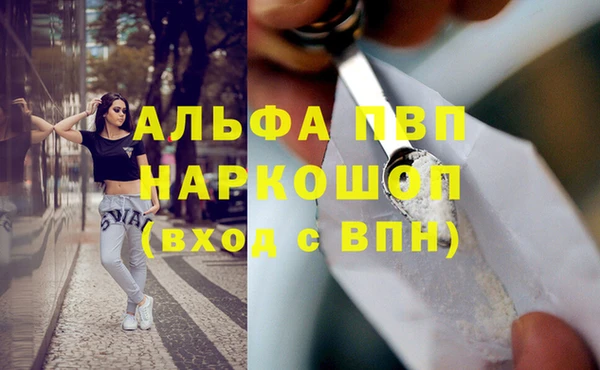 хмурый Гусь-Хрустальный